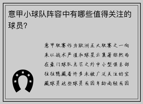 意甲小球队阵容中有哪些值得关注的球员？